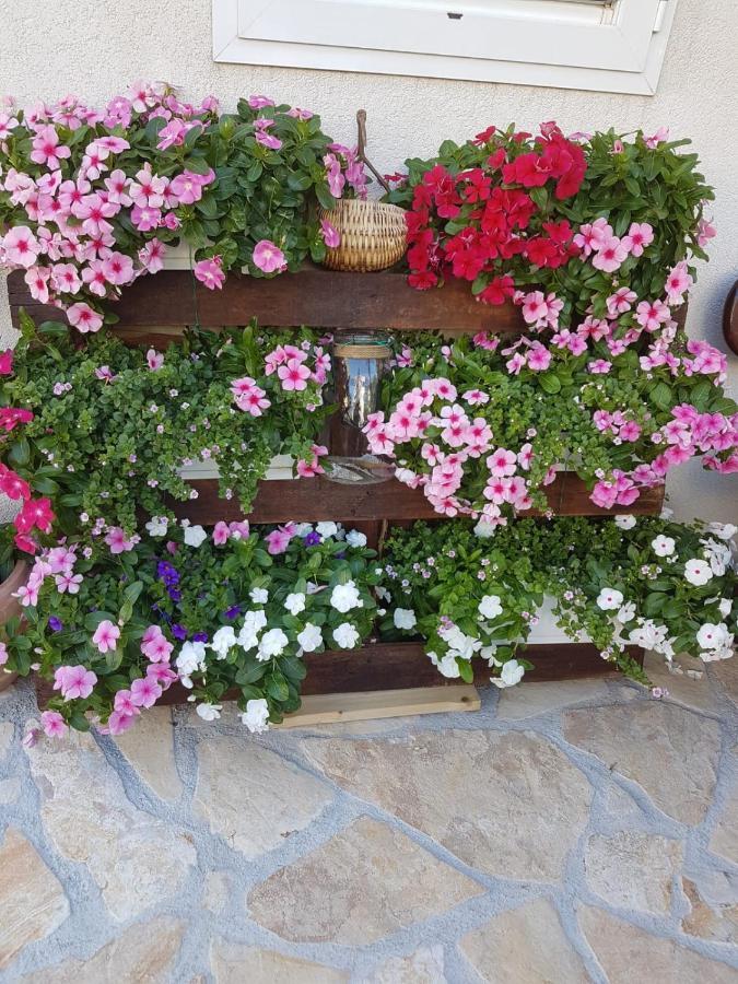 Vila Damir Gradac (Split-Dalmatia) Exterior foto